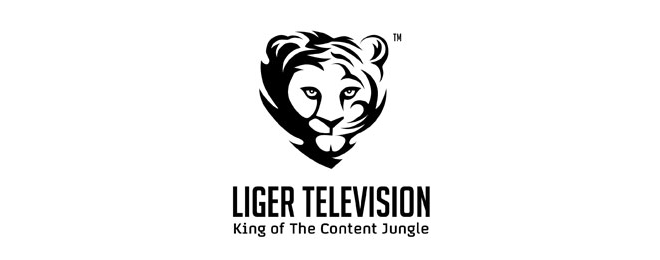 lions-logos-2