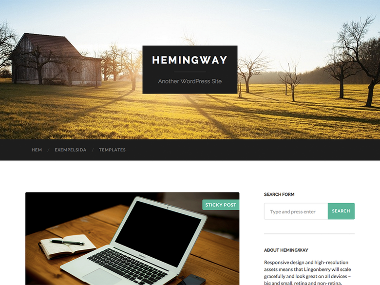hemingway-wordpress-theme-2