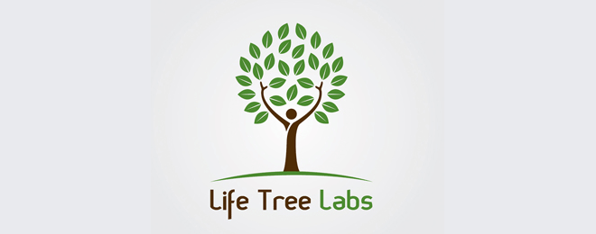 31-tree-logo